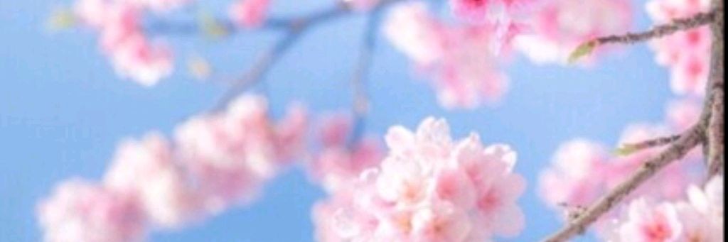 🩷❤️Милена🩷❤️