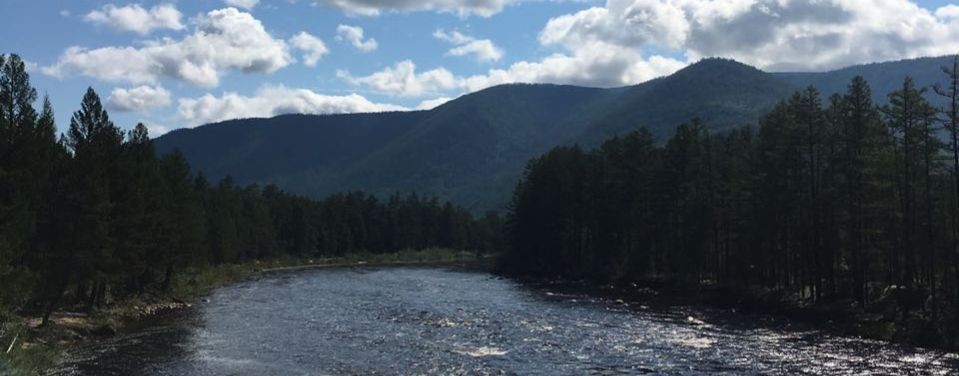 Евгения Алексеевна Тимошенко