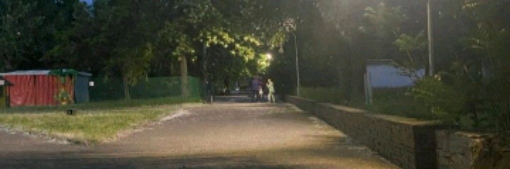 🐾. Силиаs.🐾