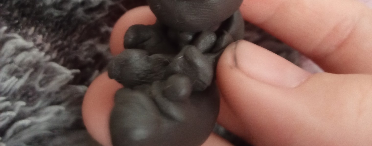 блоптопчик