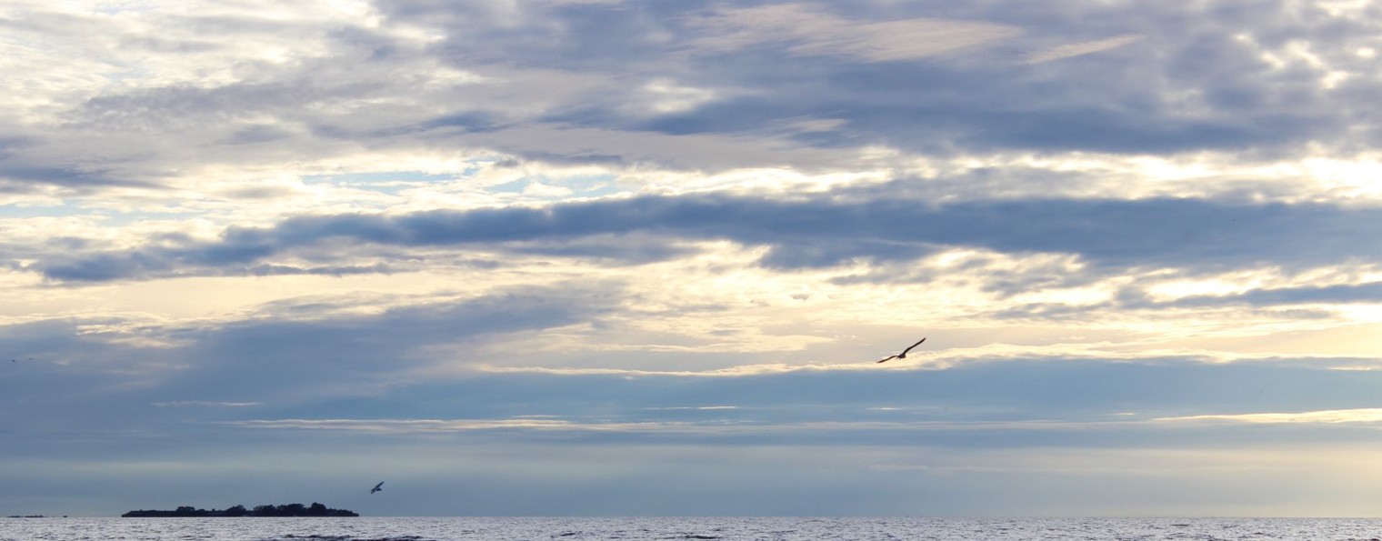 Психолог Валерия Тарасова