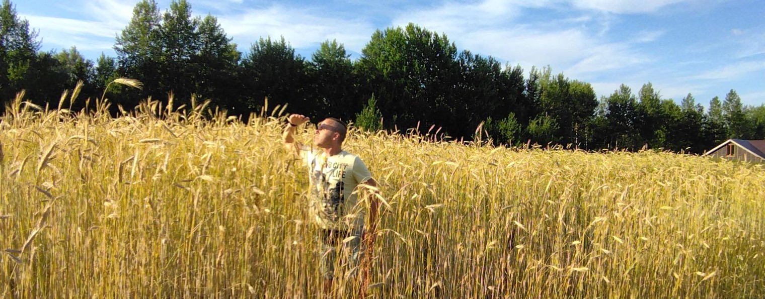 Вкусно и просто