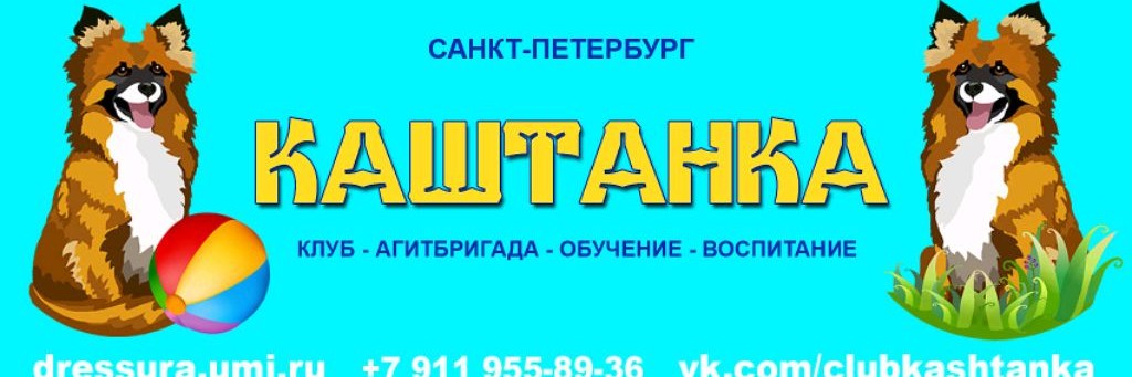 Наталья Коренькова - Клуб Каштанка