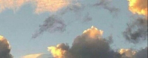 Познавательное рядом