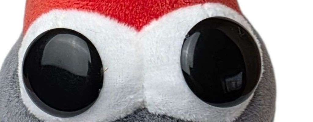 красная кнопка не (баньте)