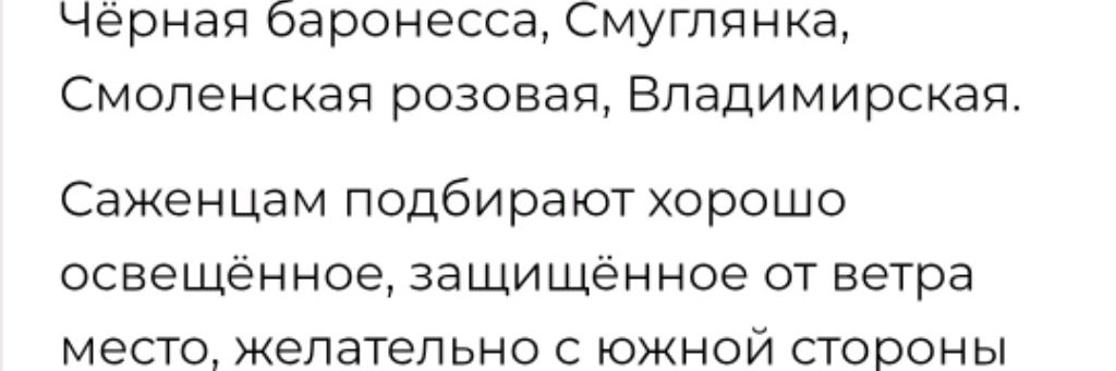 ПроСвет таро