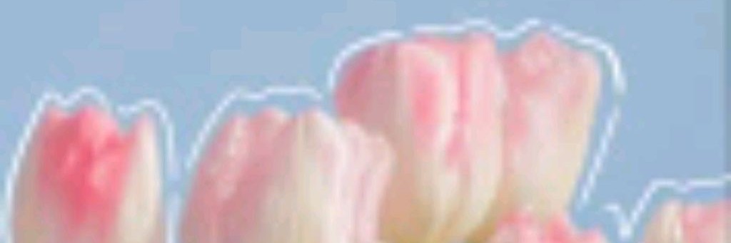 Wonyounism | vlog+comfort