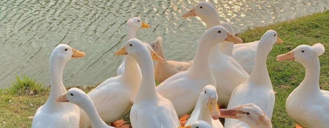 🫶🏼~PUSTOTSVETOVA FAMILY~🫶🏼