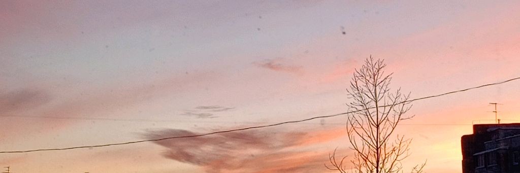 Чебурек ТИМ