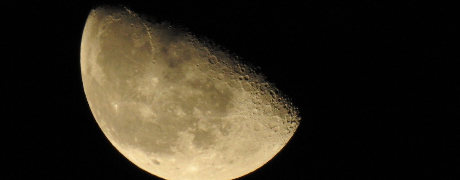 Музыкальный КодекС