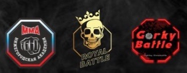 Нижегородская академия ММА