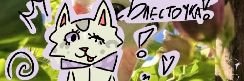 °•✨Блесточка КВ•°✯