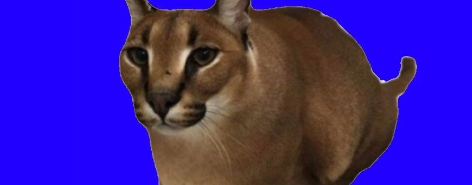 Союз пельменых историй