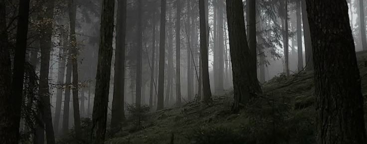 Хроники лесной нимфы