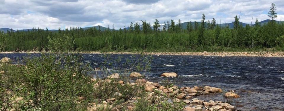 Евгения Алексеевна Тимошенко