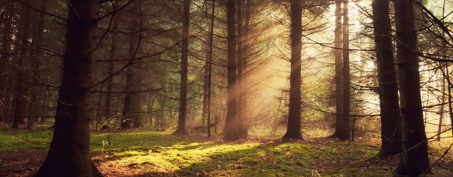 Ох, уж этот АМЕЛЬКИН