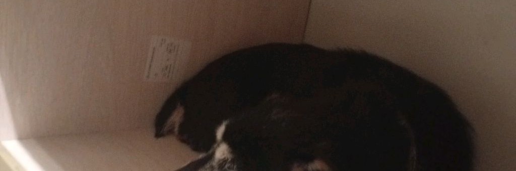 Глашечка❤️