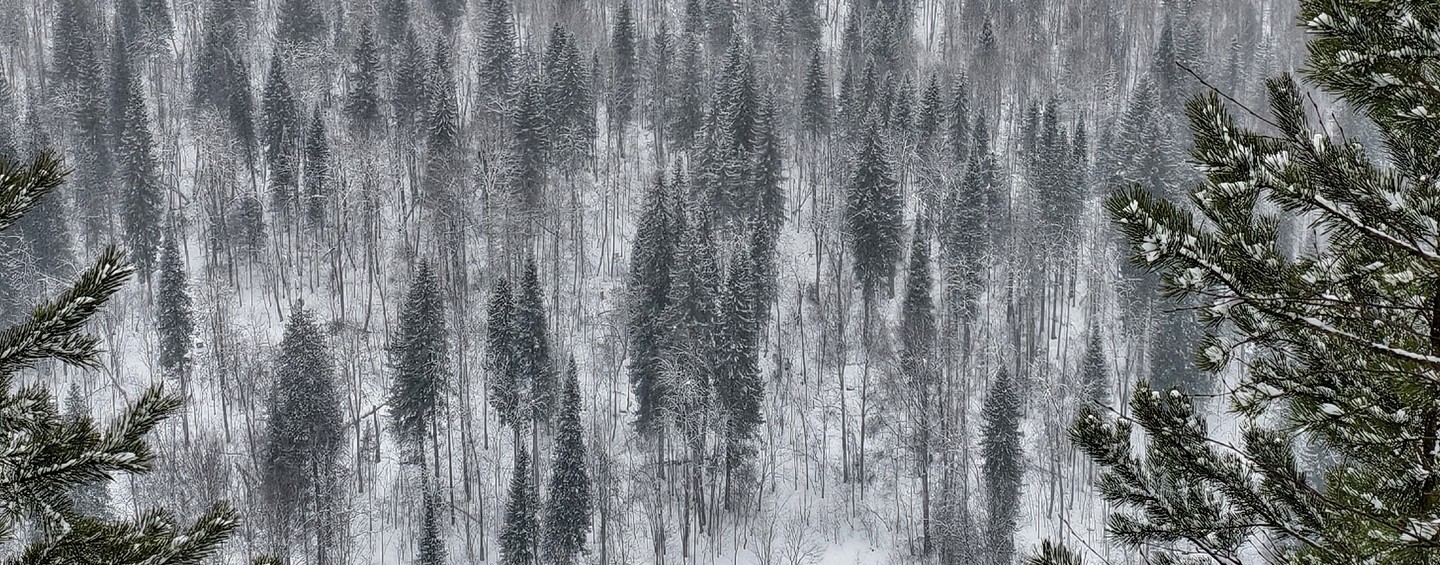 все что угодно