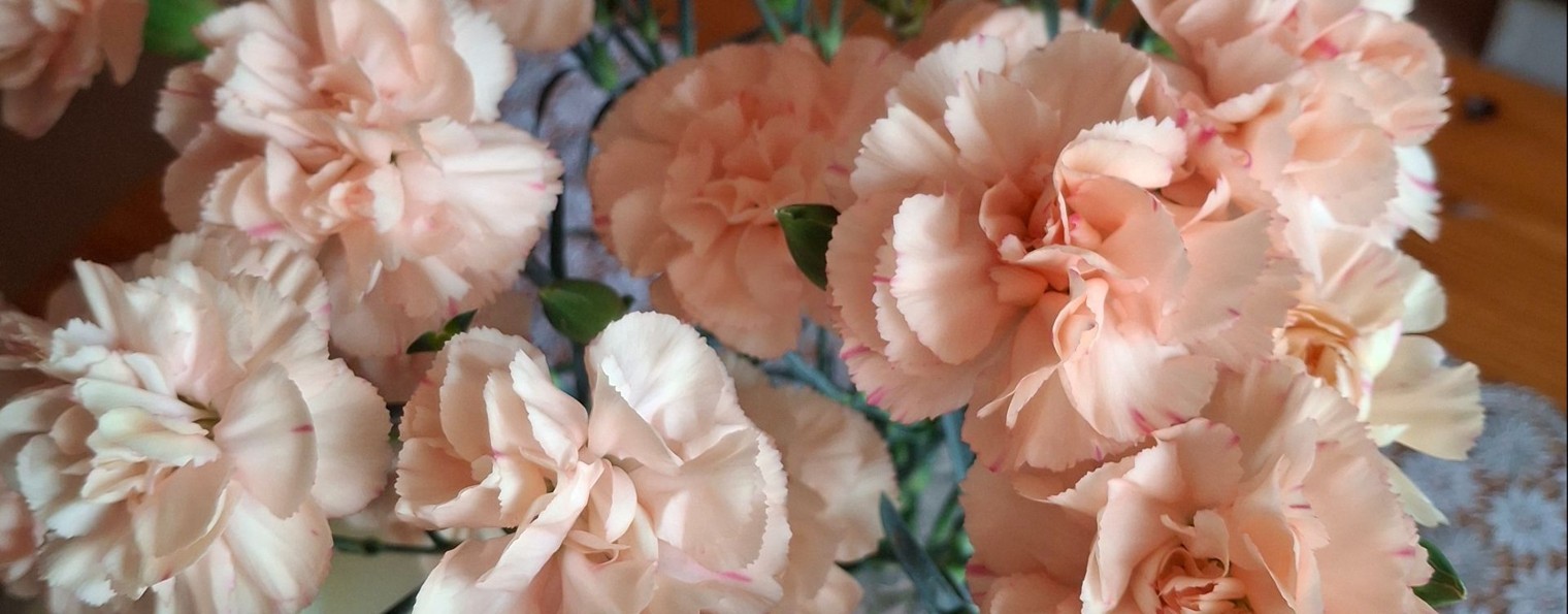 Натуся Ягуся