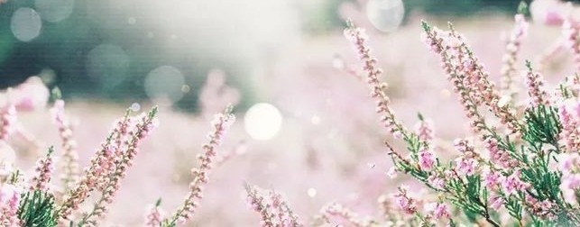 Даша. Жизнь, как жизнь.