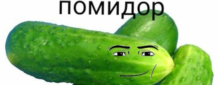 спидозные козявки