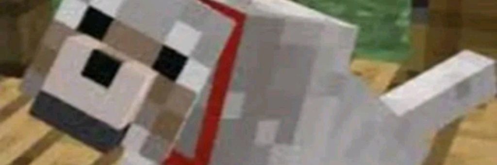 Полина Геймер