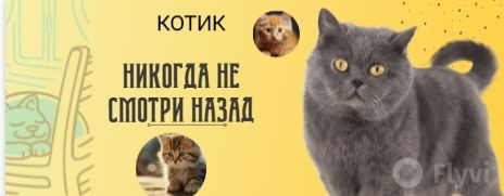 Vlog школьника