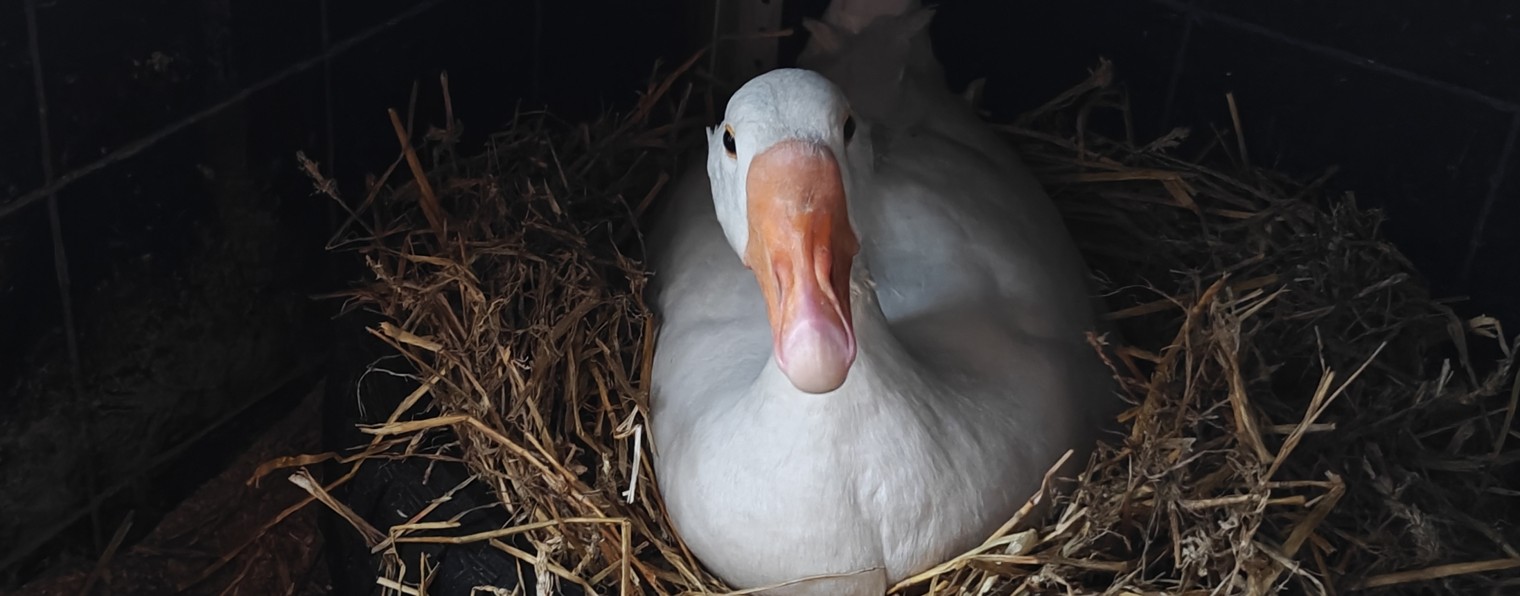 Семейный канал К*