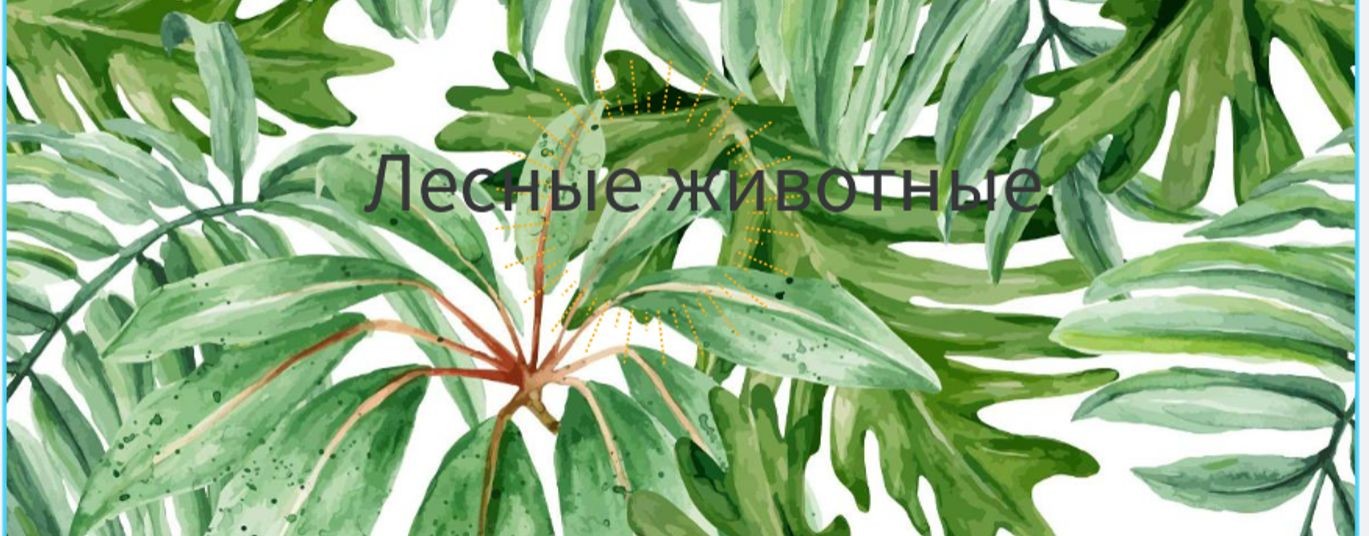 лесные животные