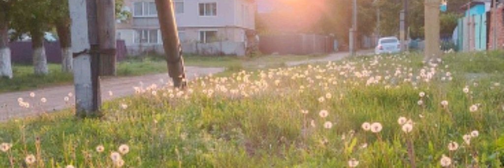 «📌—.Outsider»