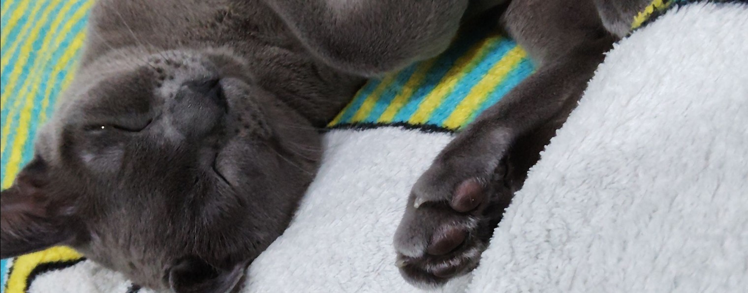 VANITY_TIME (FAN IDEV)