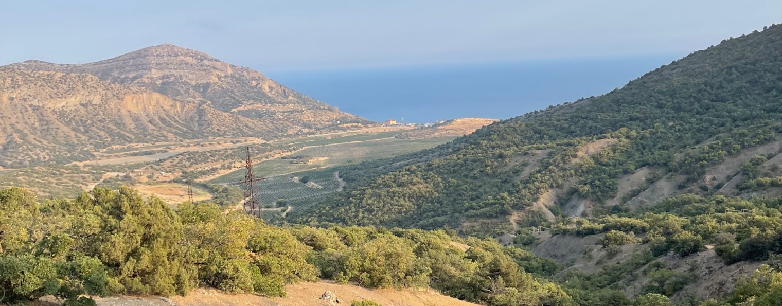 ТАРО РЕКОМЕНДУЕТ…..