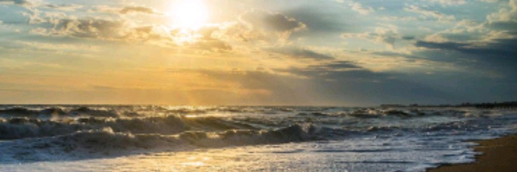 Вера/Chееsе🧀