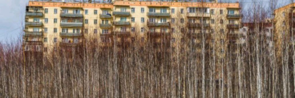 🍒Vlog Avatar World🍒