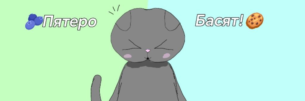 🫐Пятеро Басят!🍪