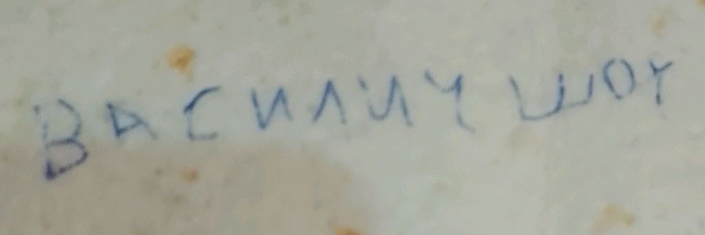 Василич Шоу