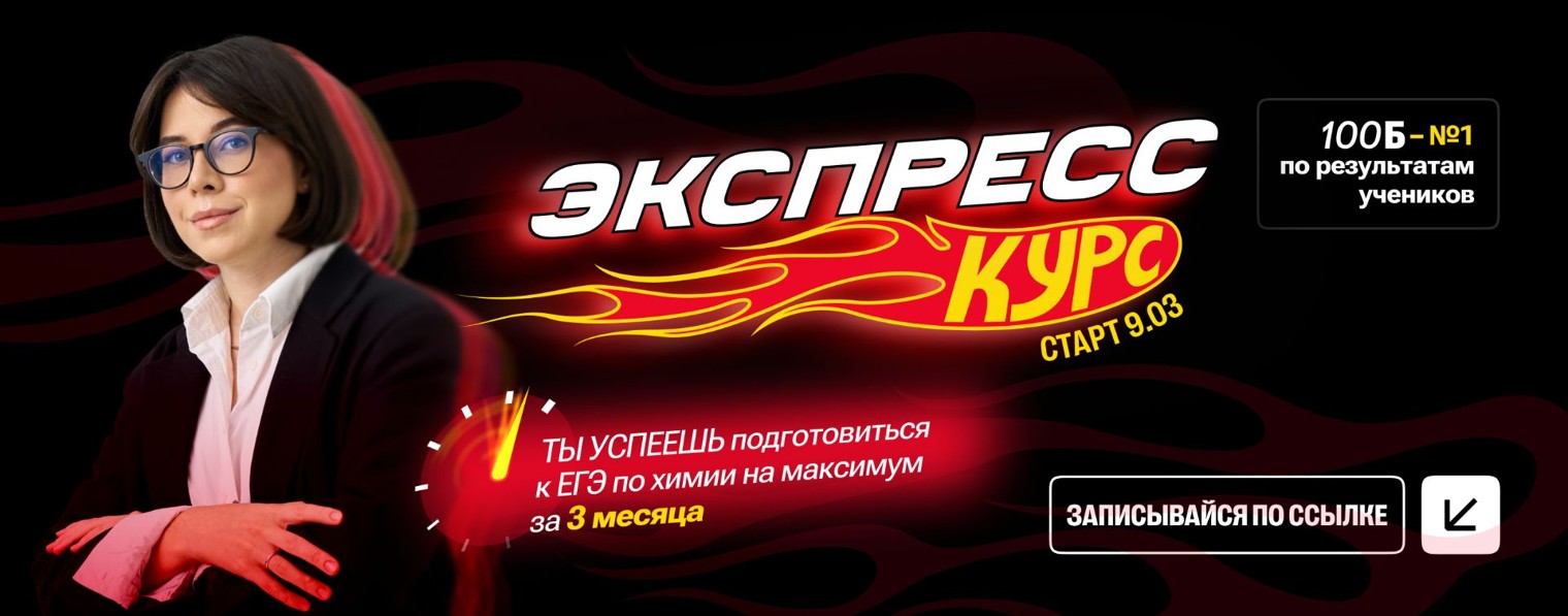 Екатерина Строганова | Химия ЕГЭ | 100балльный