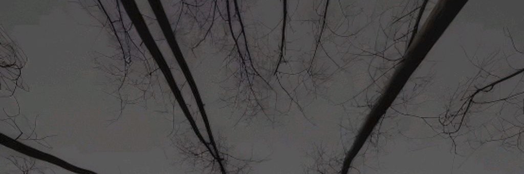 Alexseev