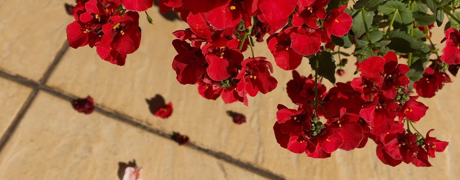 вдали от шума