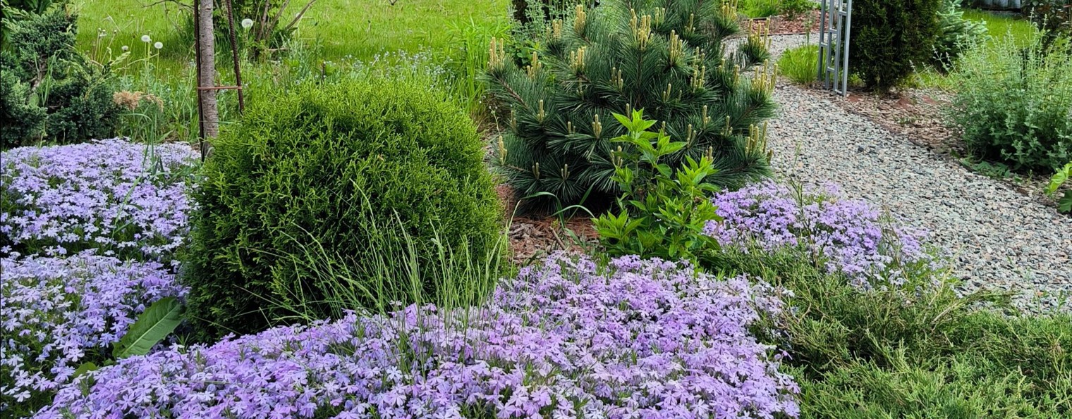 Зелёное королевство