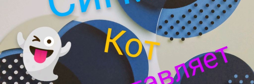 Сигма Кот Бася