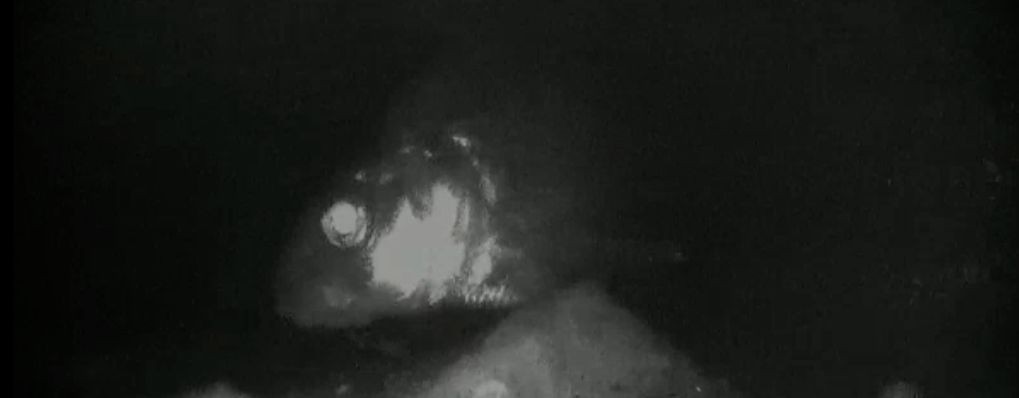 Рыбалка в стиле Елены