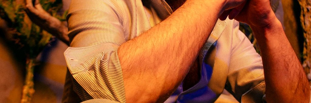 Дмитрий Мертинс