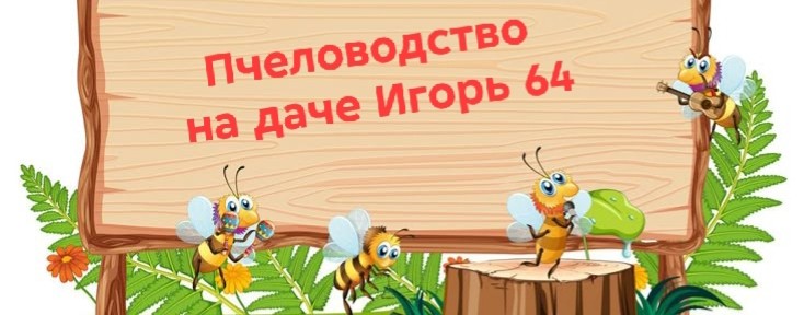 Пчеловодство на даче Игорь 64