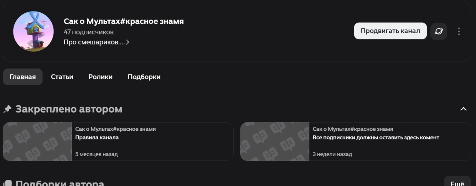 Сак из дзена