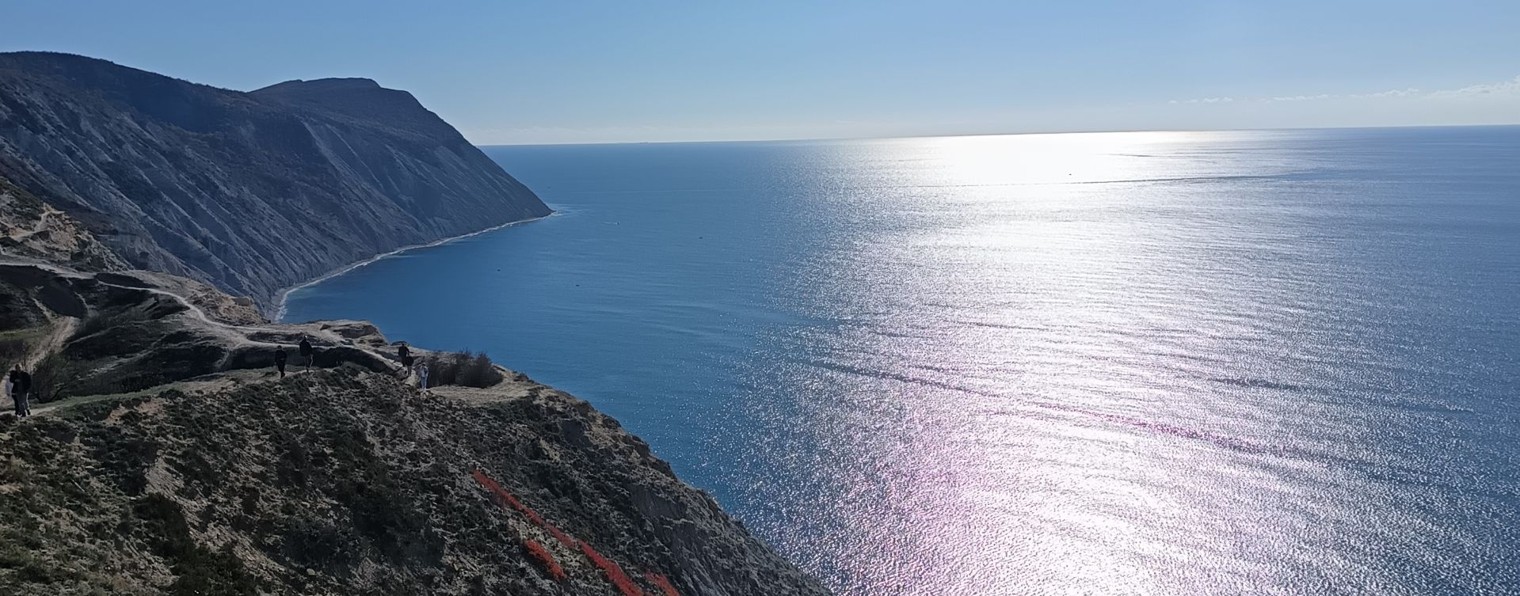 Дурдом у моря