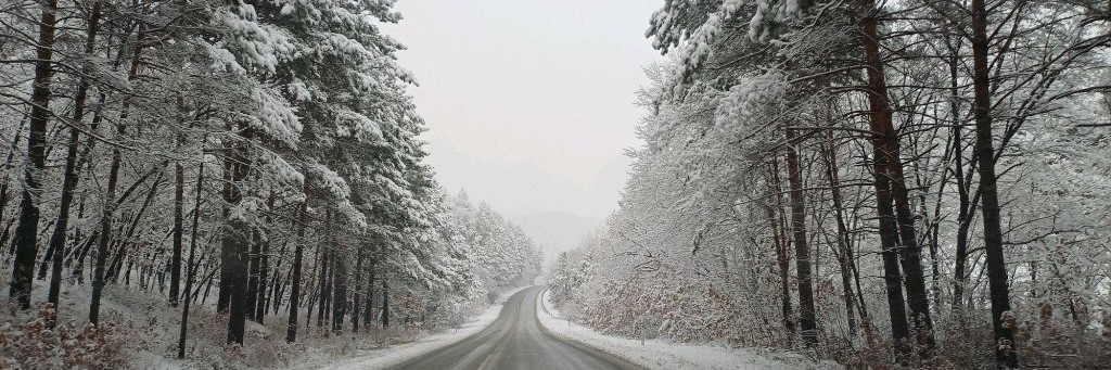 Александр Крайнев