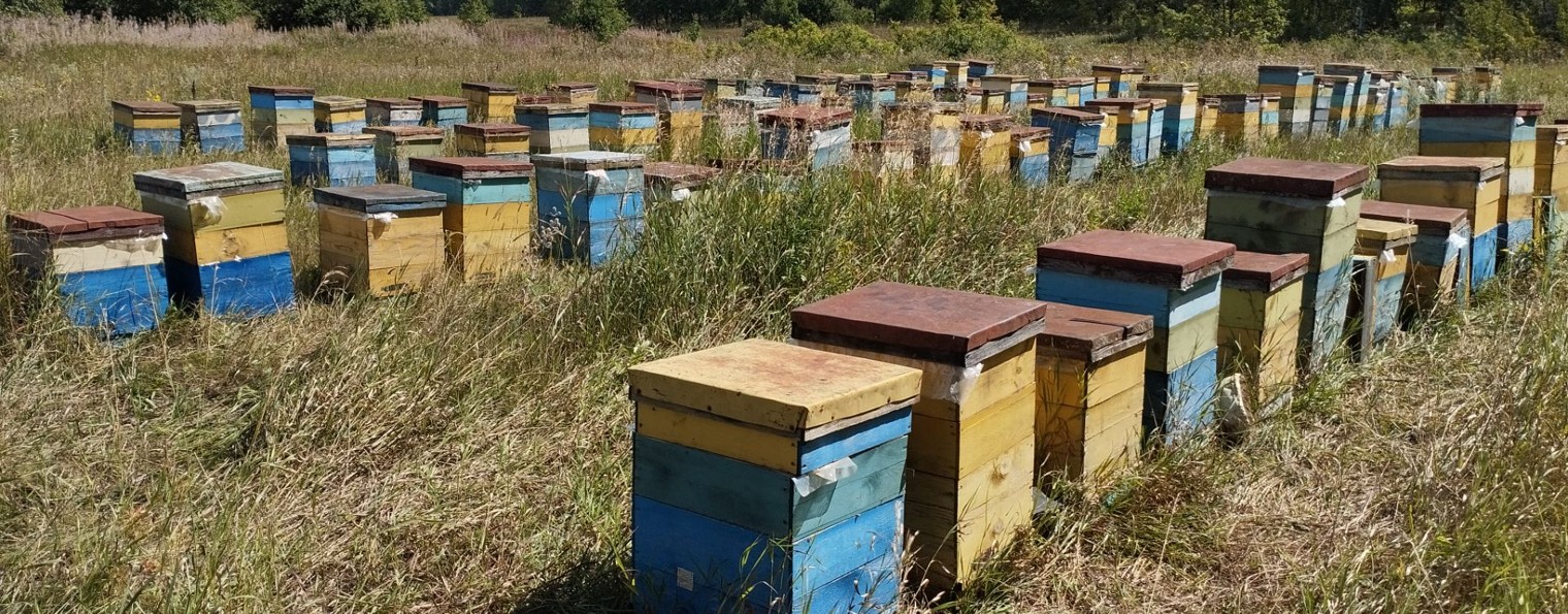 Александр Арбузов