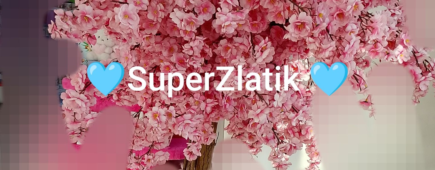 🩵SuperZlatik🩵