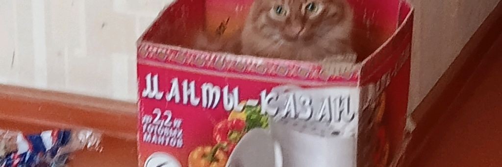 Какаха228